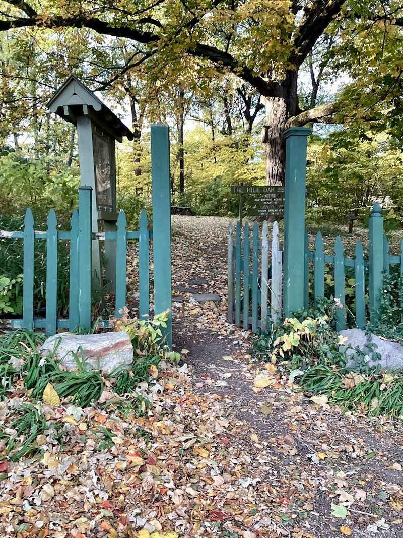 The Irvington Neighborhood Hiding This Gem