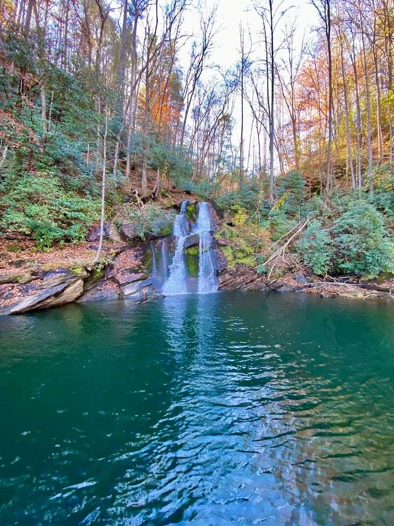 The Jocassee Gorges: A Living, Breathing Rainforest