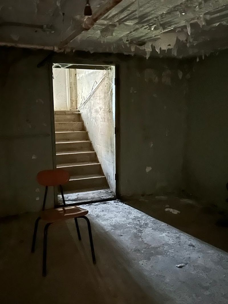 The Joker: The Basement's Most Terrifying Resident