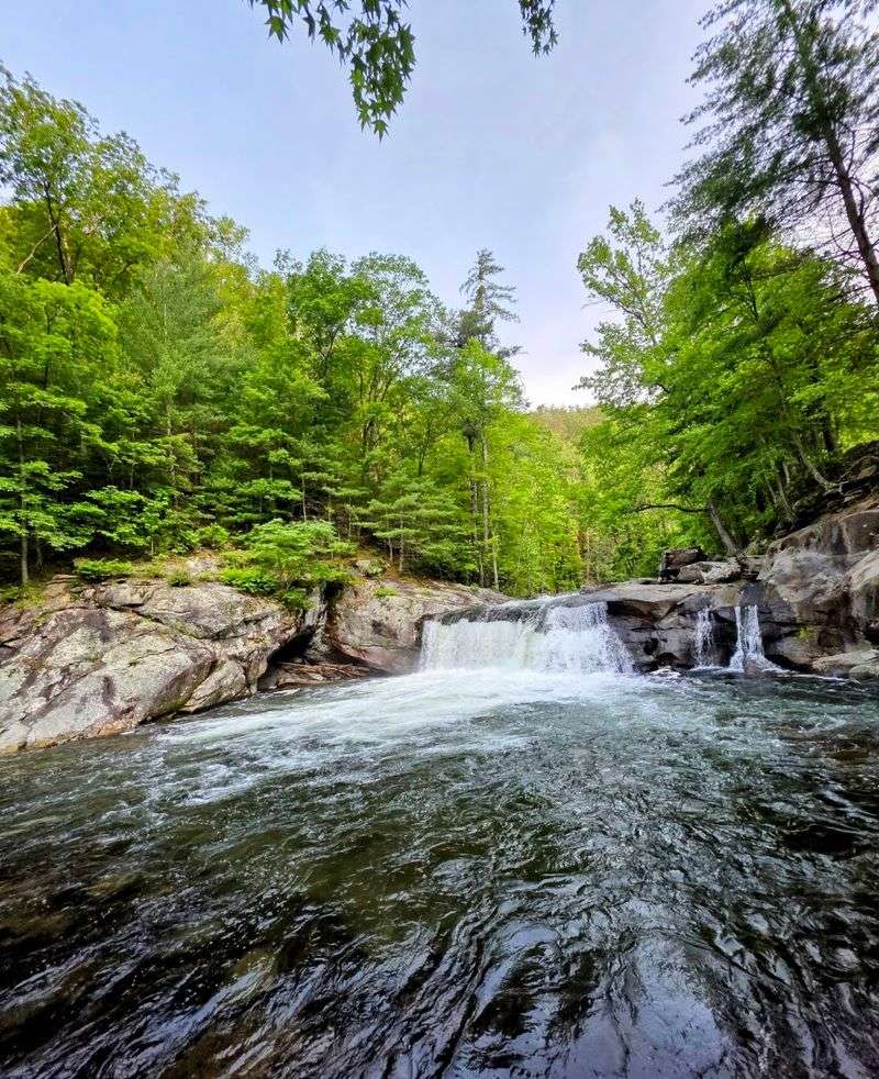 The Journey Along Tellico River Road The Journey Along Tellico River Road