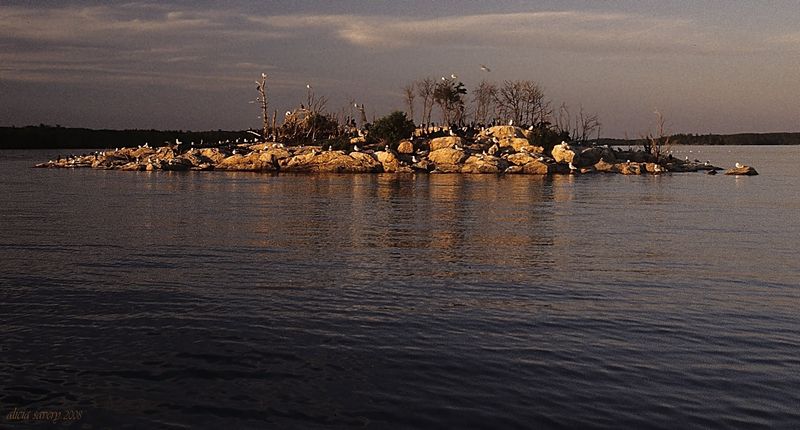 The Kabetogama Peninsula and Its Roadless Interior