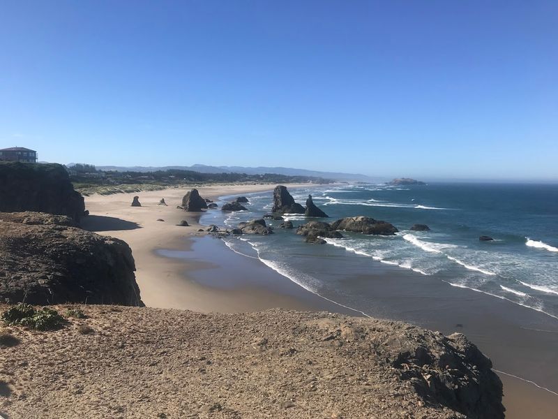 The Kind of Walk That Clears Your Head Completely