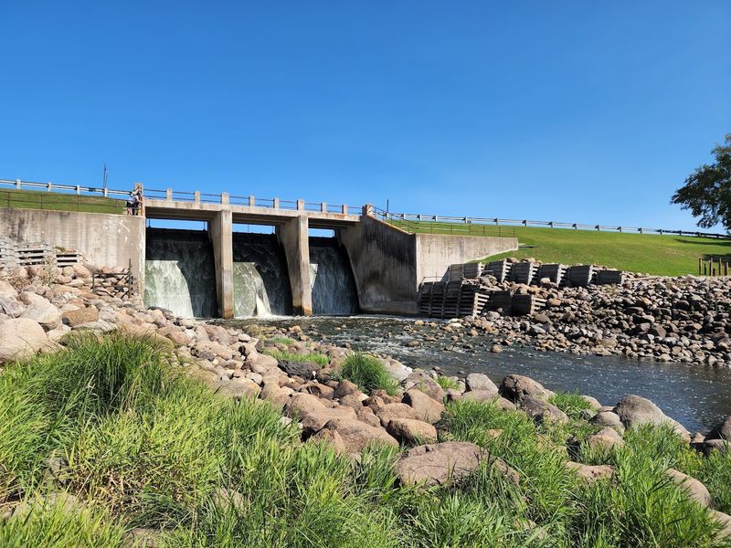 The Lake Bronson Dam Reconstruction and the Big August Comeback