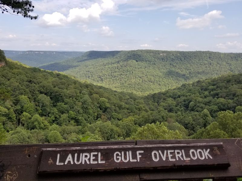 The Laurel Gulf Overlook, Your First Reward