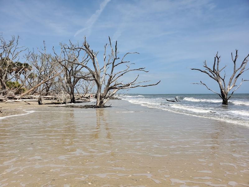 The Legendary Boneyard Beach
