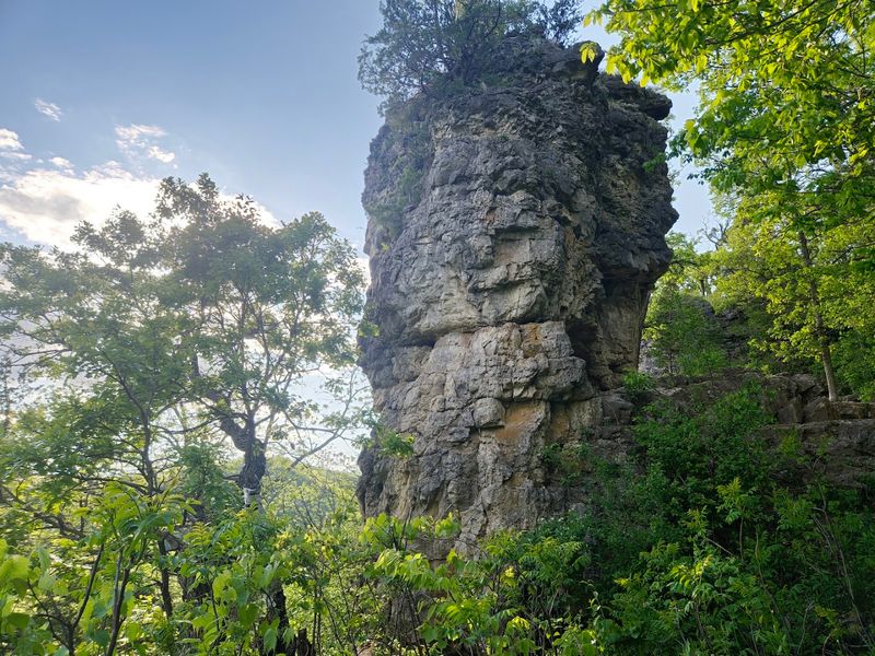 The Limestone Bluffs That Make You Stop Mid-Step The Limestone Bluffs That Make You Stop Mid-Step