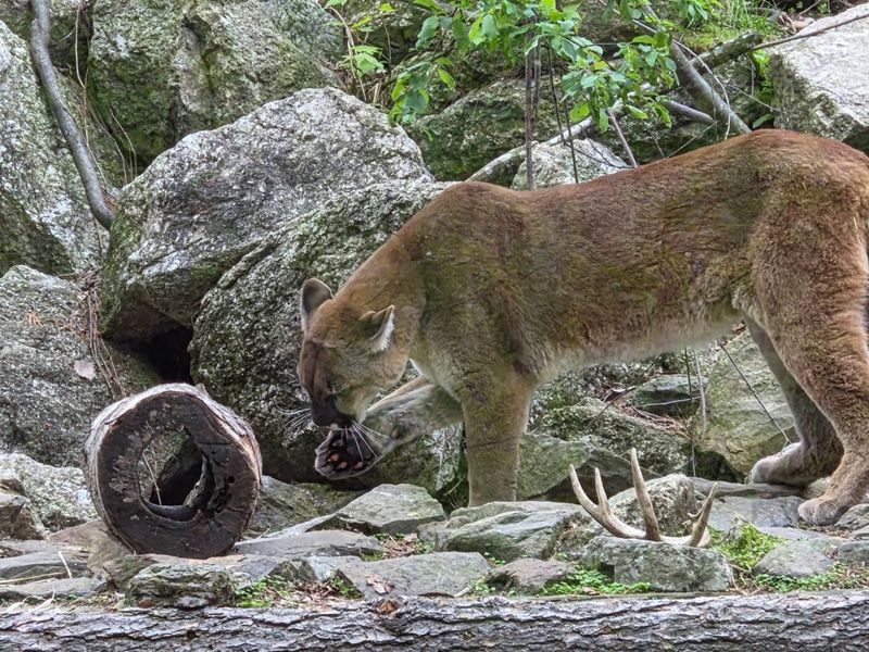 The Live Animal Exhibit Trail Is Unlike Any Zoo Path You Have Walked Before