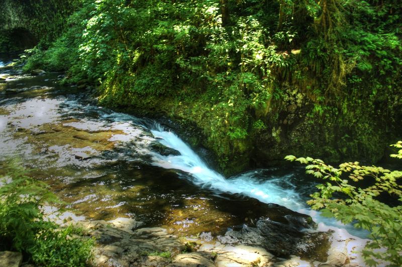 The Lower Falls Area Most Hikers Overlook