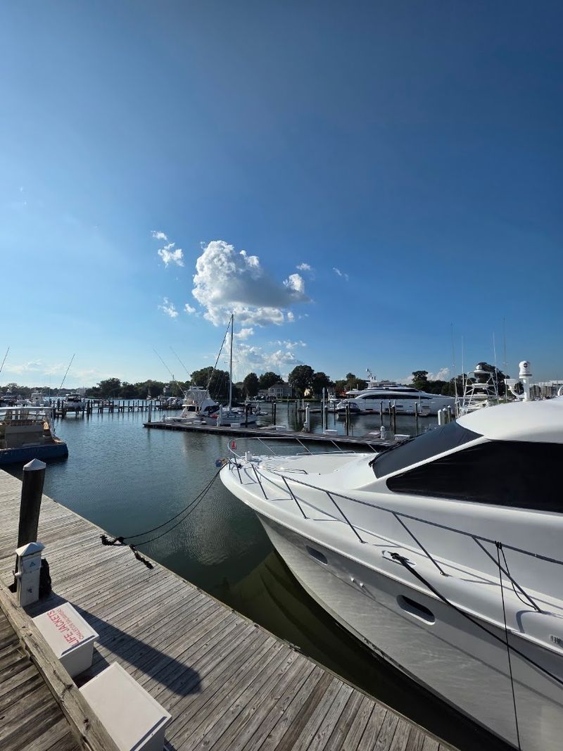The Marina Magic That Sets the Scene The Marina Magic That Sets the Scene
