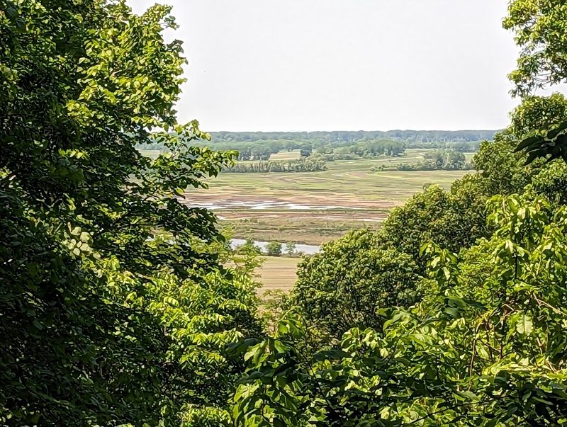 The Marsh Pulls You In Without Raising Its Voice
