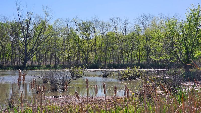 The Marsh Views Sneak Up On You