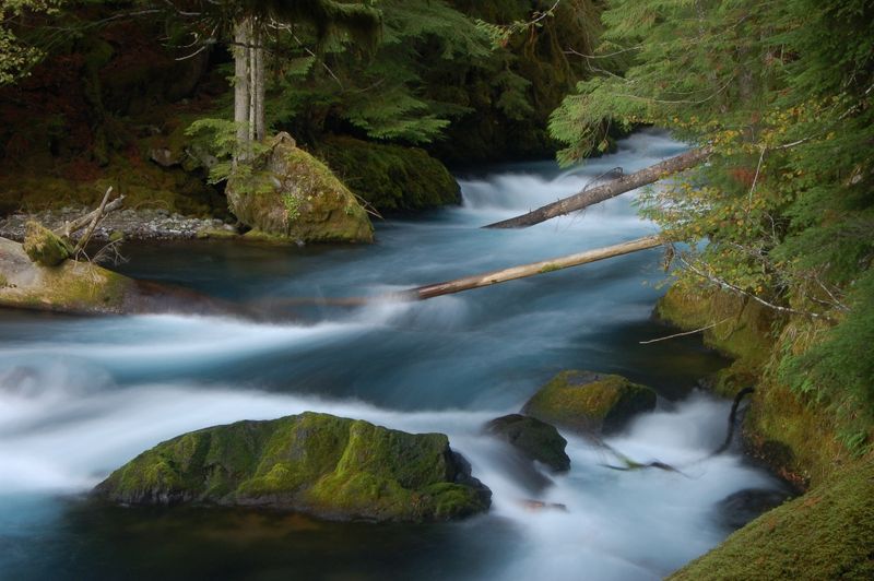 The McKenzie River, the Backbone of the Whole Experience