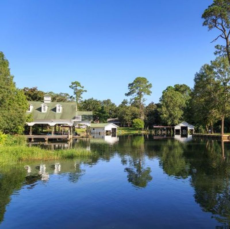The Mobile-Tensaw Delta: America's Amazon in Alabama