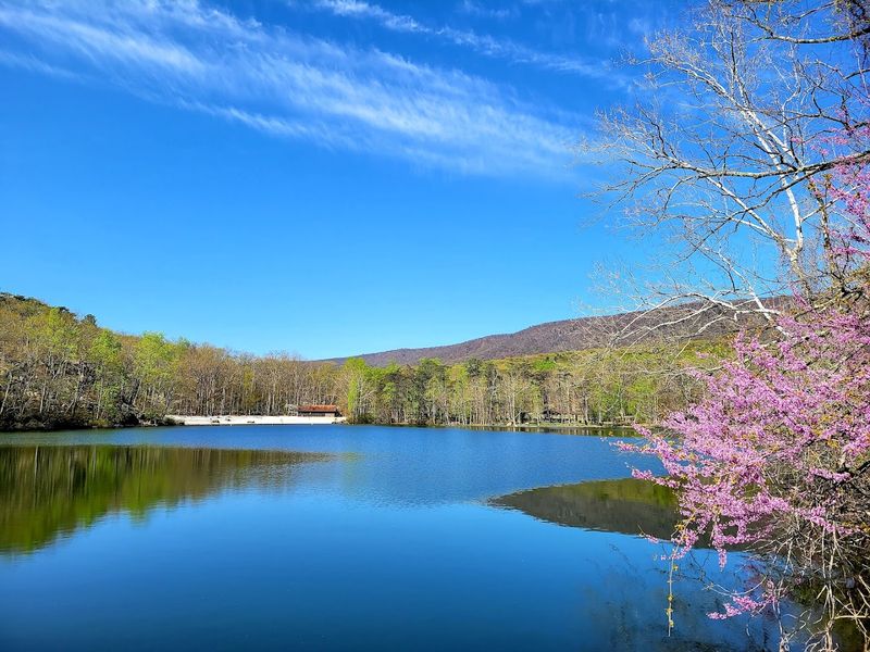 The Moment The Trees Part And The Lake Appears