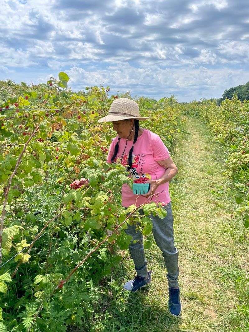 The Most Extensive Pick-Your-Own Farm In New Jersey