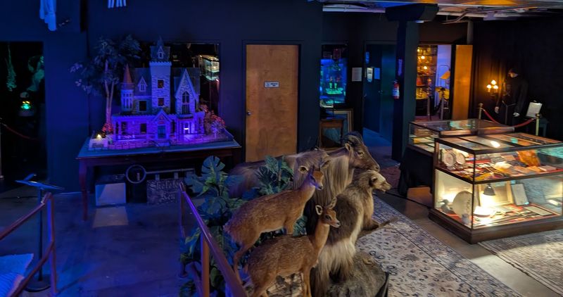 The Museum Experience Inside the Odditorium