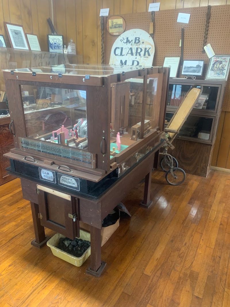 The Museum That Started With Curiosity