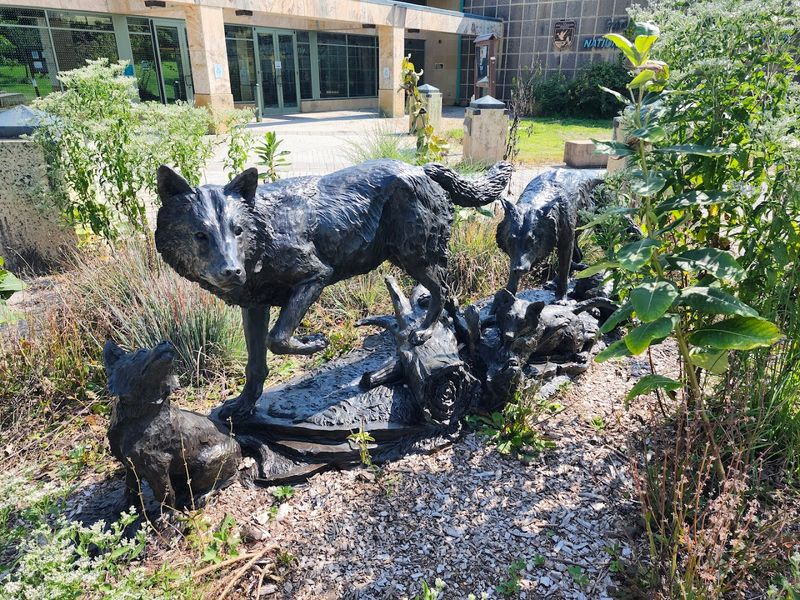 The National Wildlife Visitor Center and What It Offers
