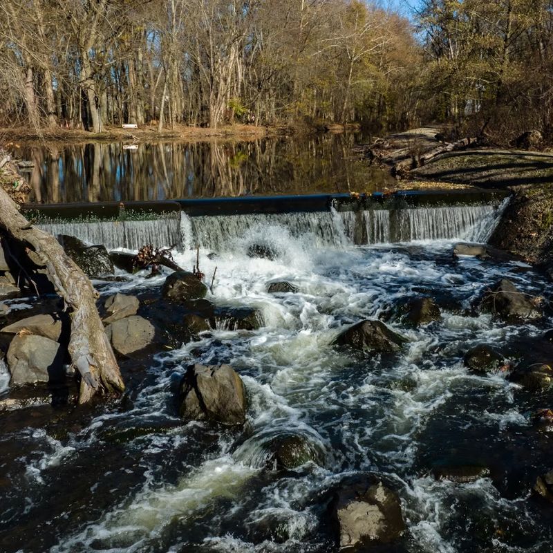 The Natural Beauty of Saddle River