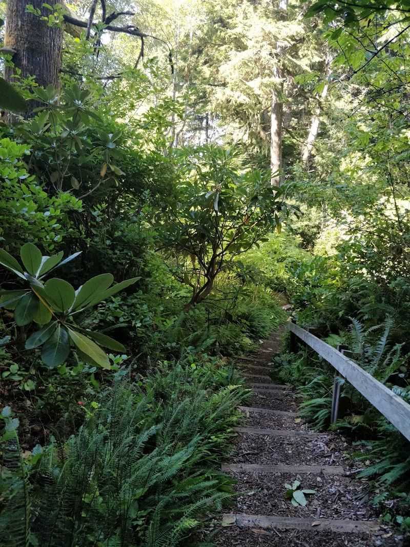 The Nature Preserve Hidden Behind the Gallery