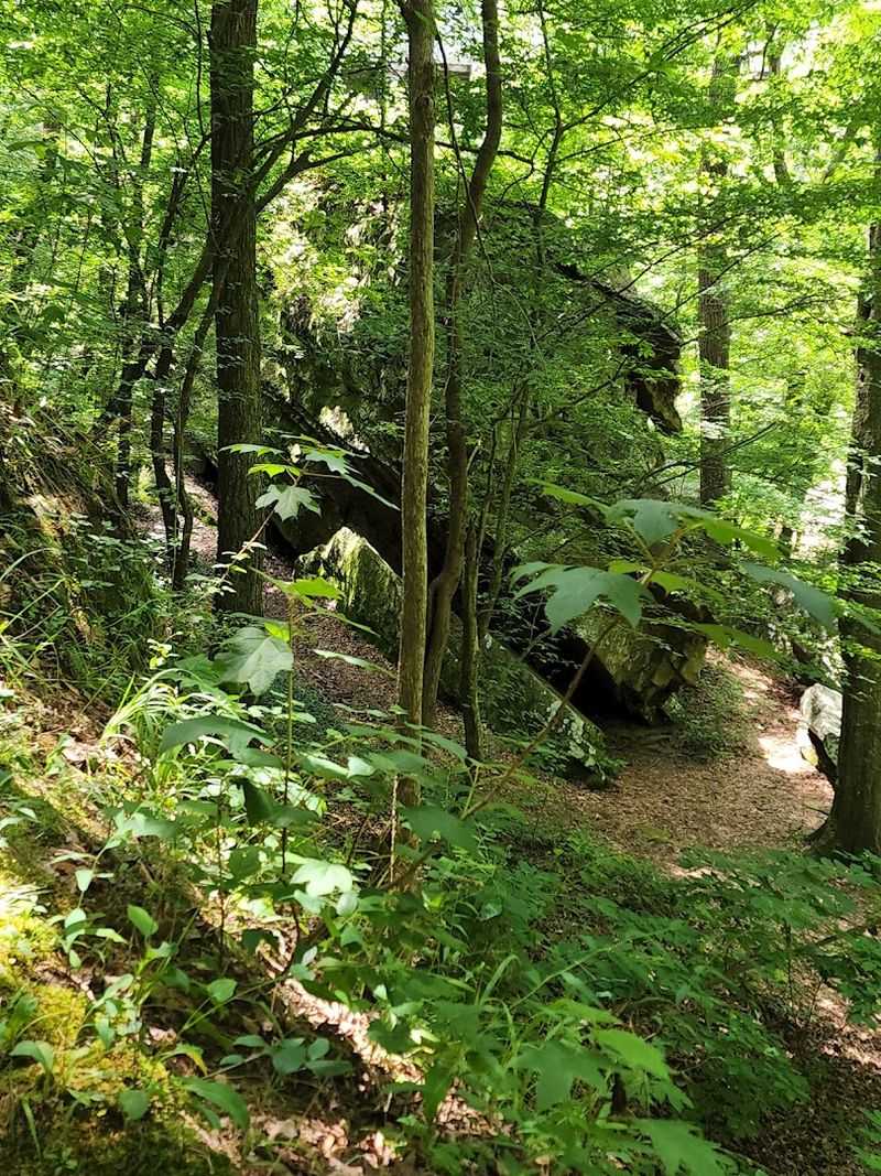The Nature Trail That Runs Alongside the River
