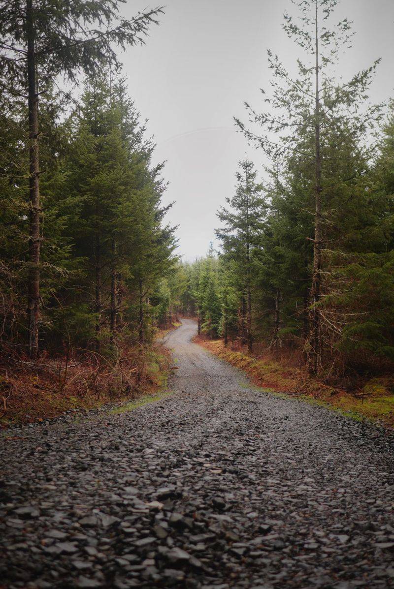 The North Trask Route, Tillamook Coast Range, Oregon