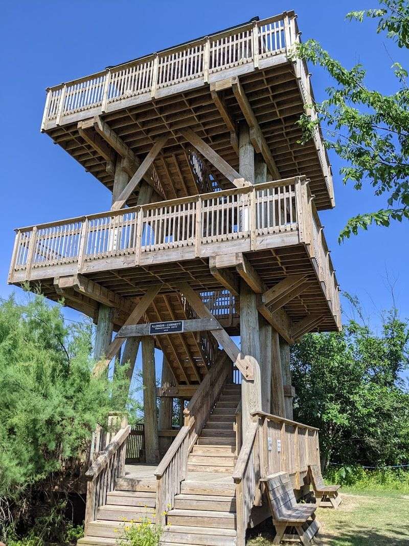 The Observation Tower and What You Can See From Up There