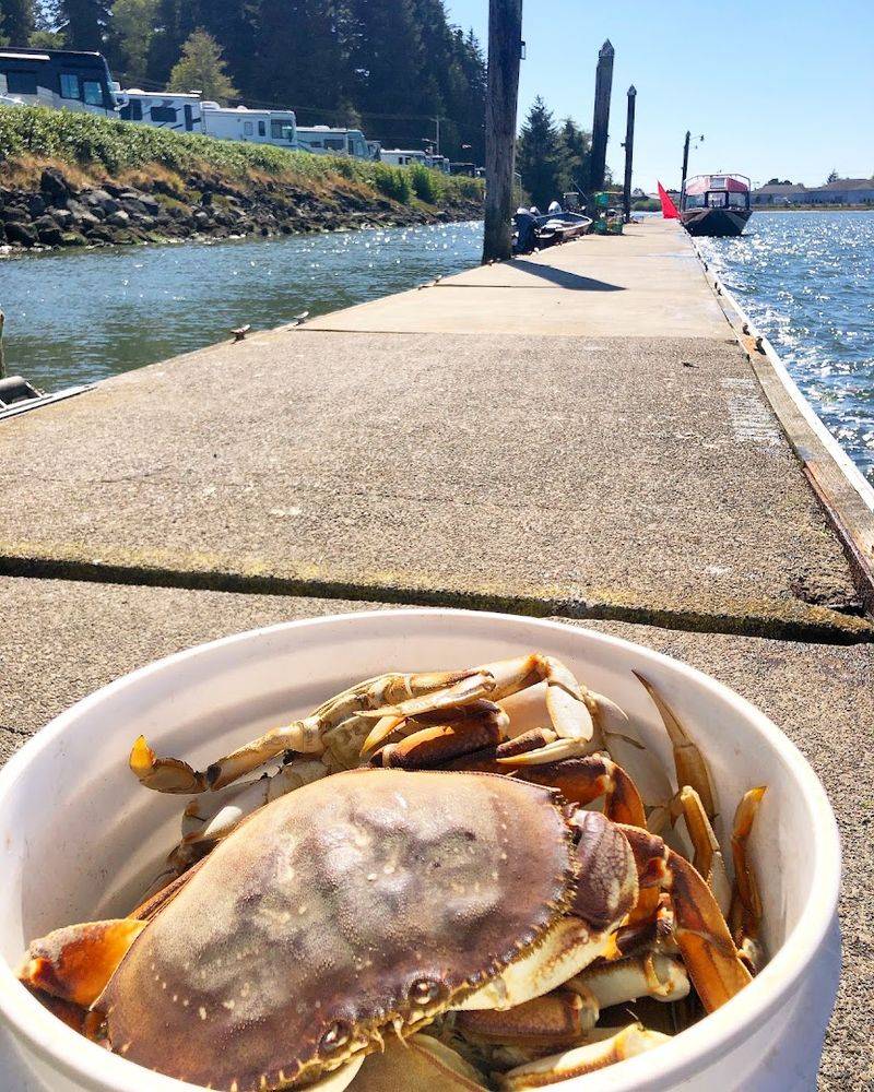 The On-Site Crab Cooking Service: From Bay to Plate in the Best Way Possible The On-Site Crab Cooking Service: From Bay to Plate in the Best Way Possible