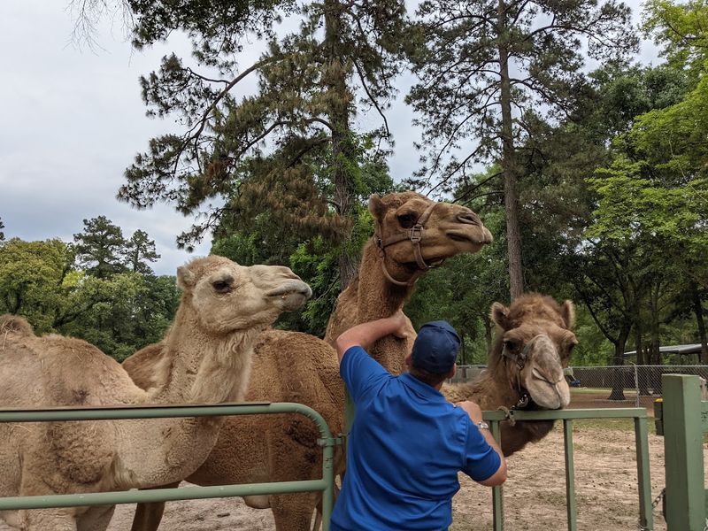The Other Animals You Might Meet Along the Way