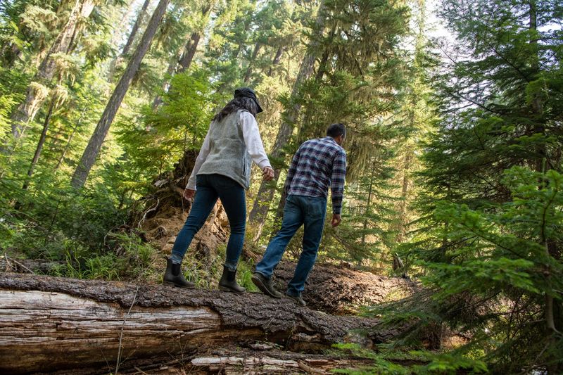 The Pacific Crest Trail Connection: A Hiker's Dream Stopover The Pacific Crest Trail Connection: A Hiker's Dream Stopover