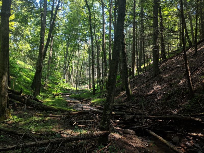The Paw Paw Tunnel and Its Restless History The Paw Paw Tunnel and Its Restless History