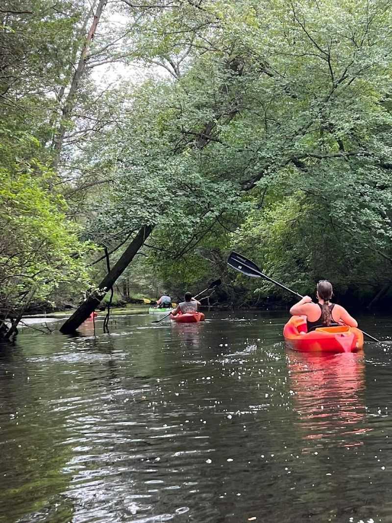 The Pine Barrens Bring Serious Wild Beauty The Pine Barrens Bring Serious Wild Beauty