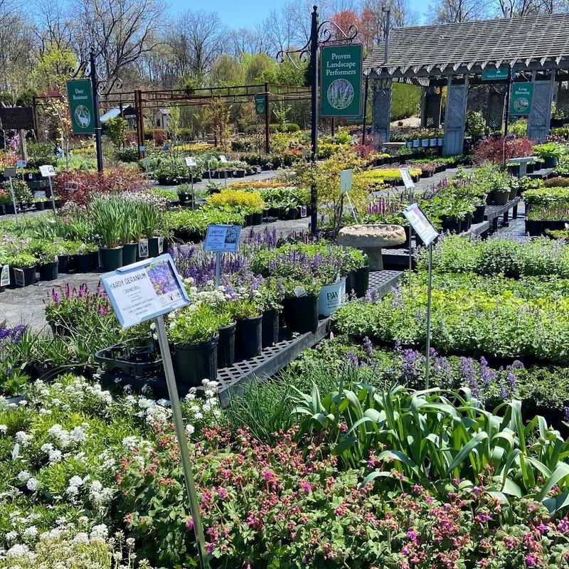 The Plant Selection Is Genuinely Distracting The Plant Selection Is Genuinely Distracting