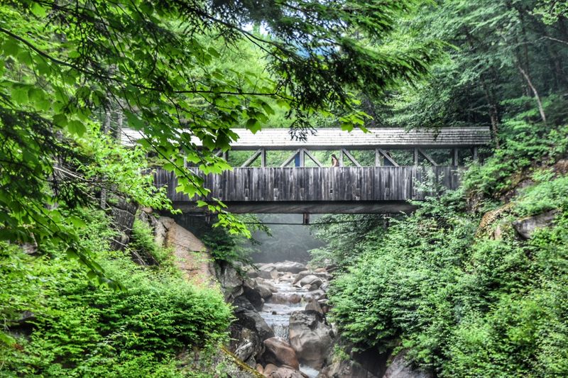 The Pool and Sentinel Pine Bridge
