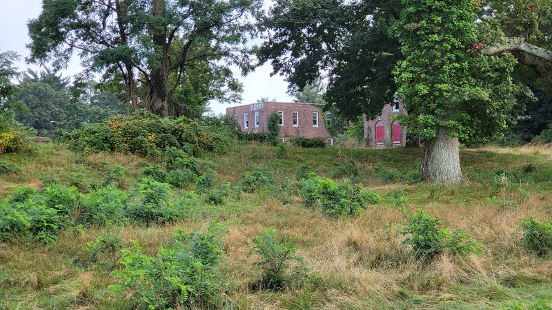 The Potter's Field Cemeteries Hidden Across the Grounds The Potter's Field Cemeteries Hidden Across the Grounds