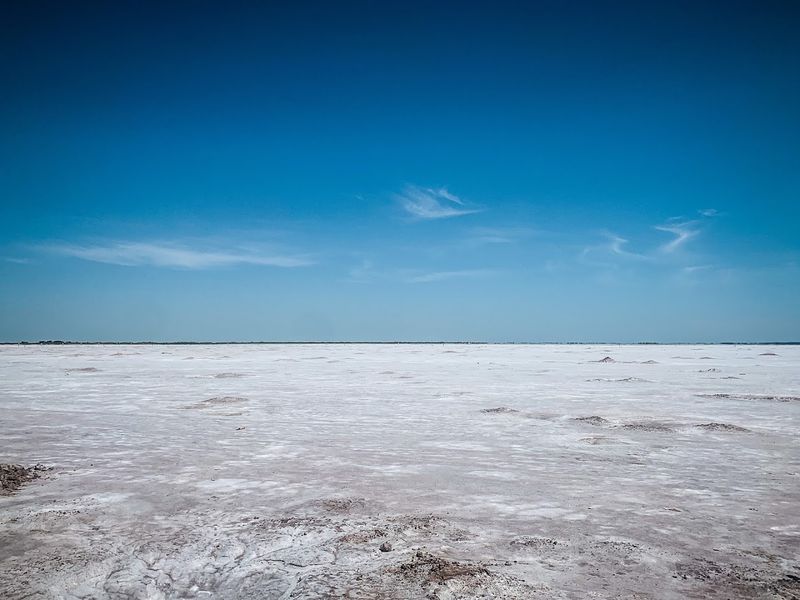 The Problem With Too Much Salt