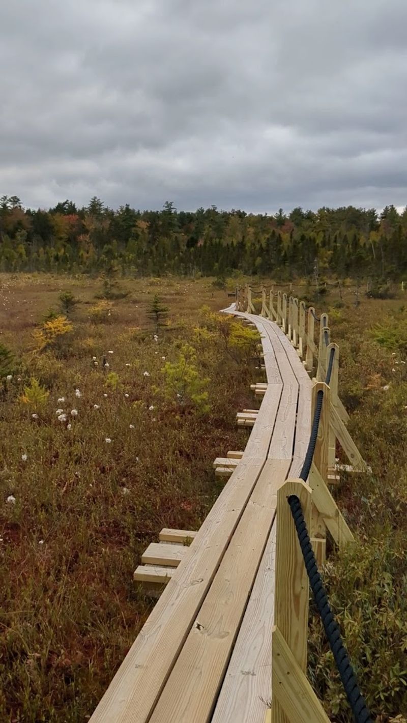 The Quaking, Bouncing Bog Mat The Quaking, Bouncing Bog Mat