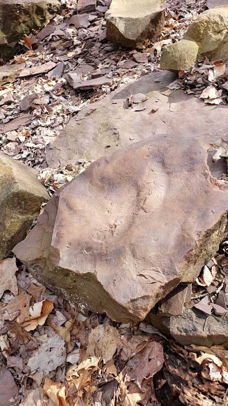 The Quarry That Started It All