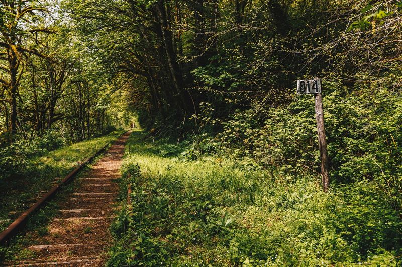 The Railroad That Started It All