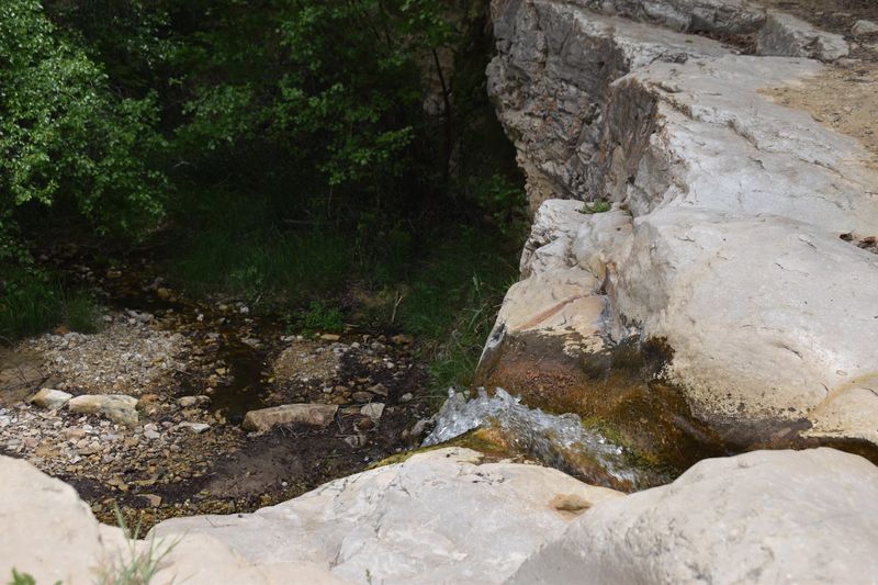 The Refreshing Embrace of Ely Creek Falls The Refreshing Embrace of Ely Creek Falls