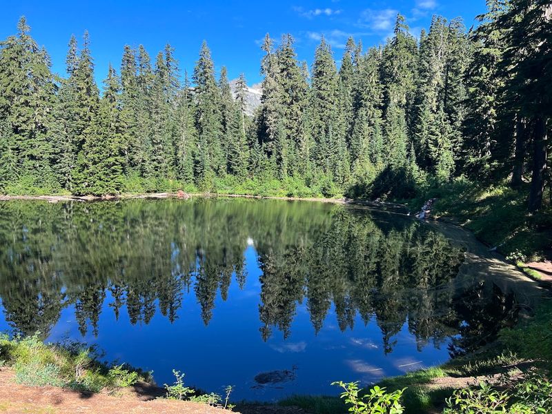The Relentless Climb: 37 Switchbacks and 2,700 Feet of Elevation The Relentless Climb: 37 Switchbacks and 2,700 Feet of Elevation