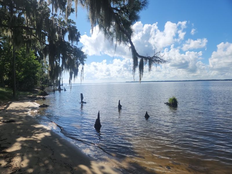 The River Beach That Rewrites Your Expectations The River Beach That Rewrites Your Expectations