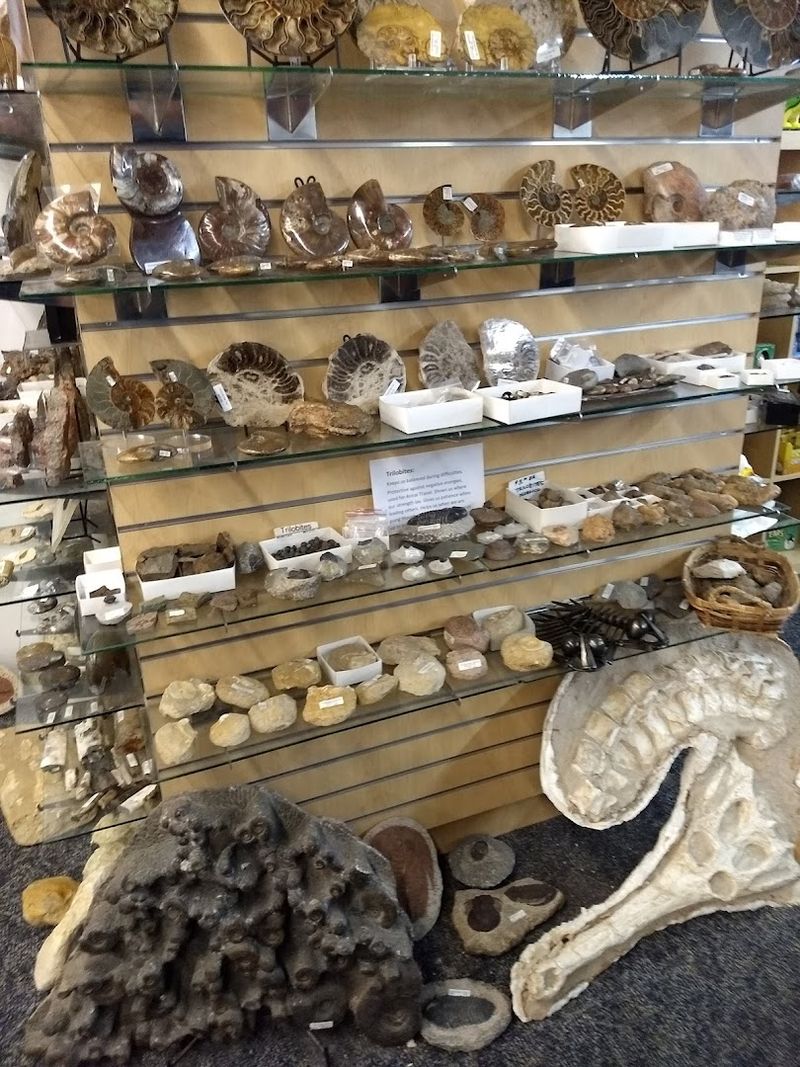 The Rock Yard and Rock Depot for Collectors and Creators