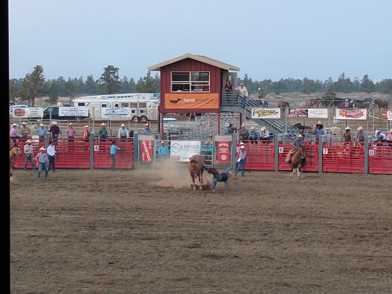 The Rodeo Is Absolutely Worth Planning Around The Rodeo Is Absolutely Worth Planning Around
