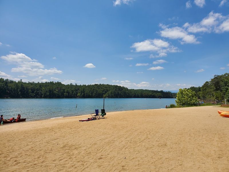 The Sandy Beach at Paddy's Creek That Defies Expectations