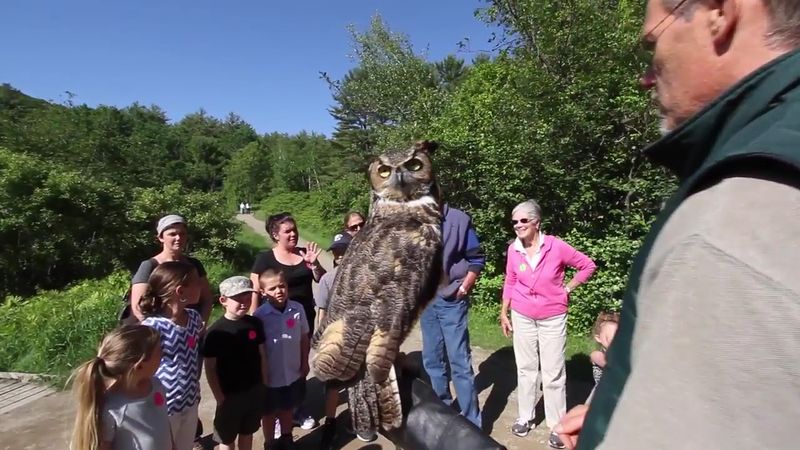 The Science Center's Mission Sets It Apart From Every Other Wildlife Attraction in the Region