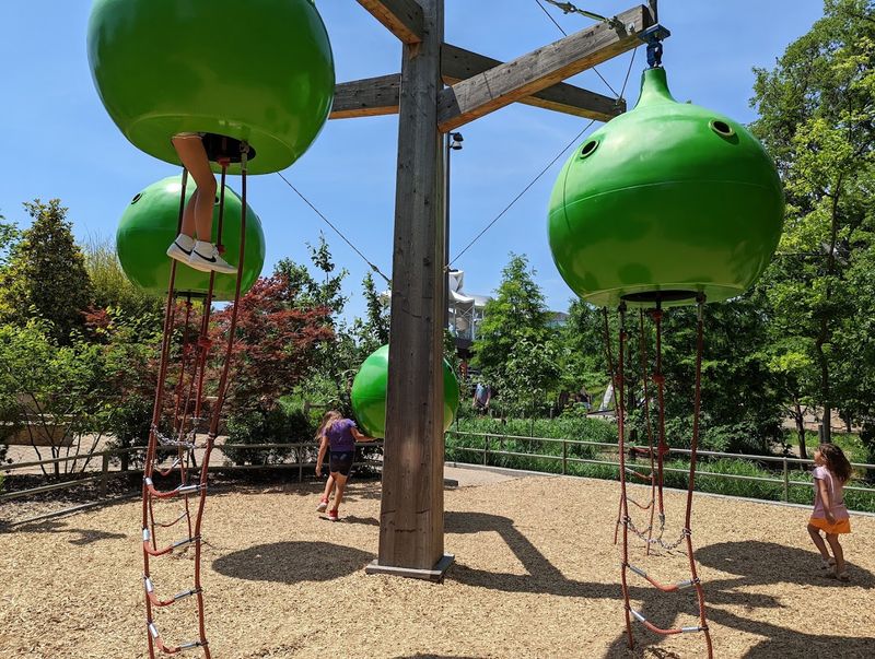 The Sensory Maze Is A Delightful Surprise