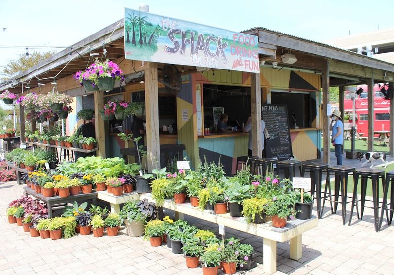 The Shack on 8th The Shack on 8th