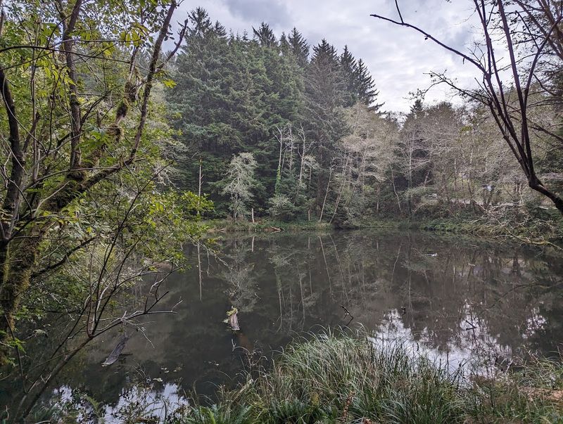 The Sounds and Smells That Make This Trail Unforgettable