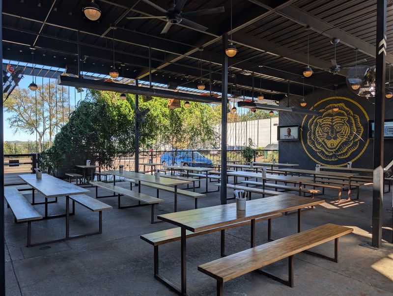 The South Lamar Oasis